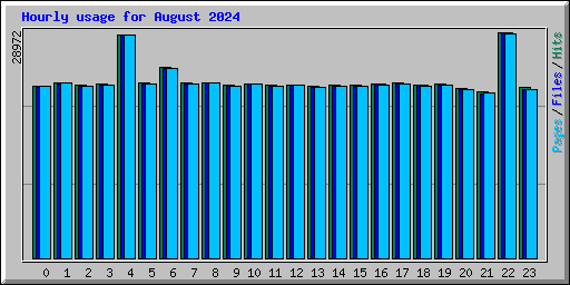 Hourly usage for August 2024