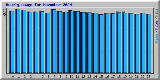 Hourly usage for November 2024