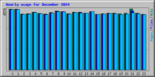 Hourly usage for December 2024